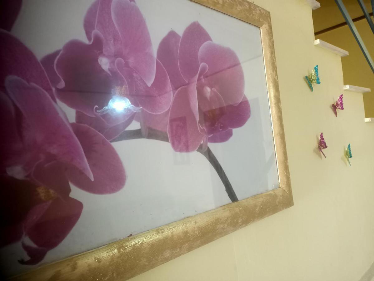Casa Sole Βίλα Vetralla Εξωτερικό φωτογραφία